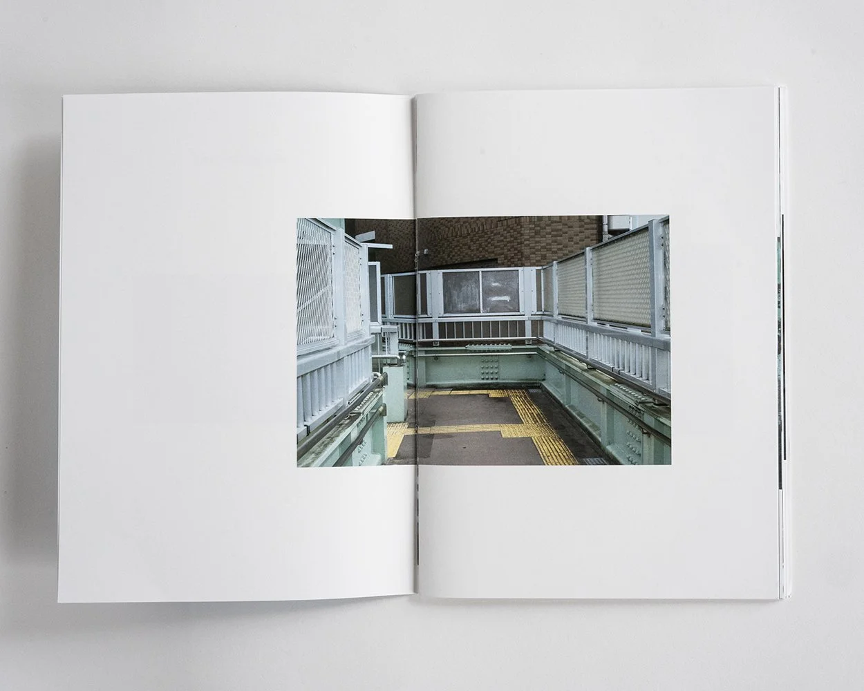 mutumutuページ KSKING 5000 TOON by Tetsuta Tsurumoto — bookdummypress